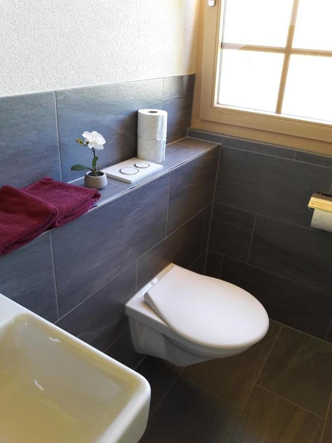 Ferien In Der Bergwelt Von Adelboden Bed & Breakfast Ngoại thất bức ảnh