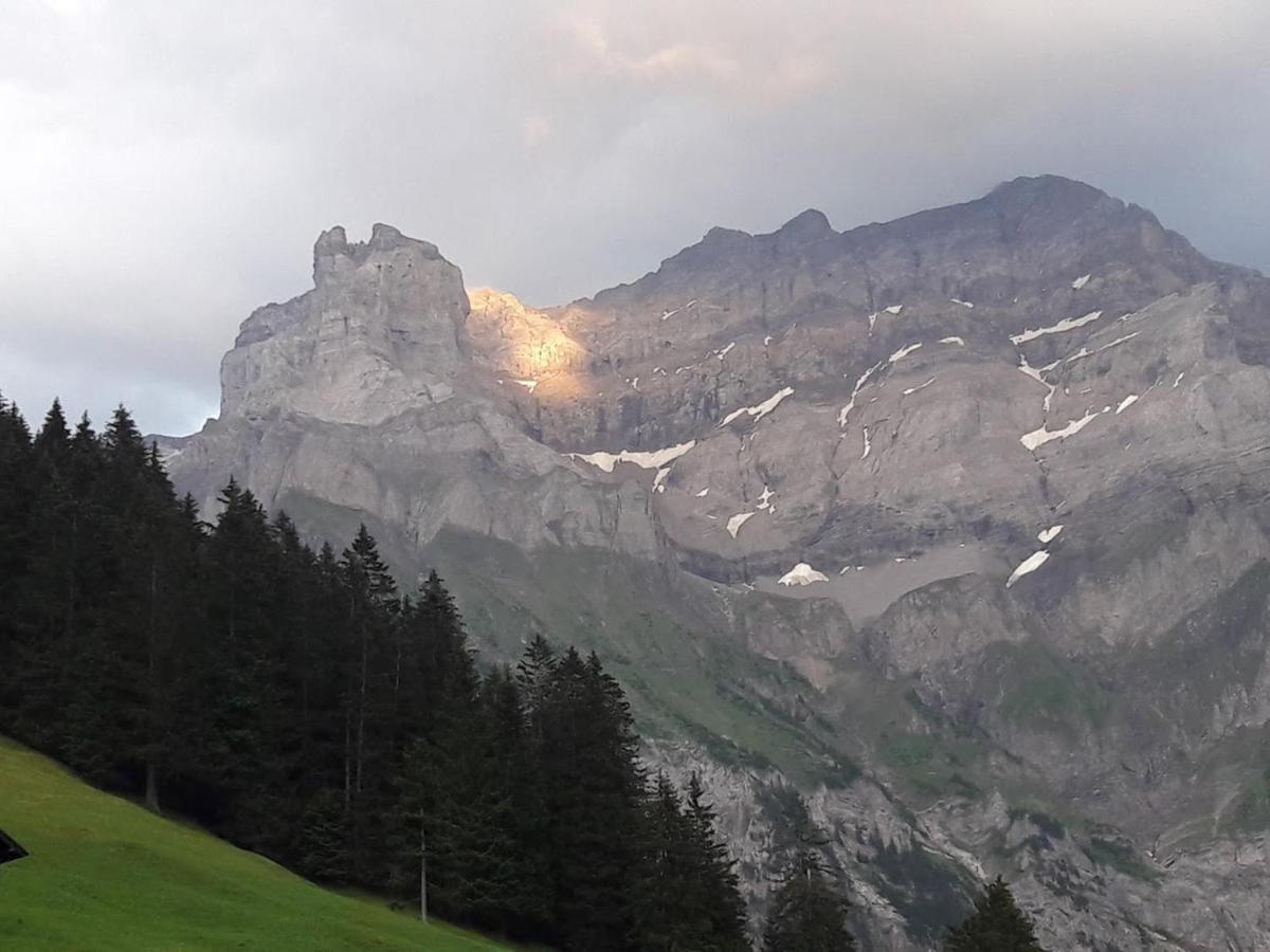 Ferien In Der Bergwelt Von Adelboden Bed & Breakfast Ngoại thất bức ảnh